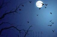 诗里十种秋夜美，“月如钩，无言独上西楼”，感受这千古名篇的美