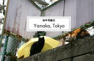 喵喵喵，东京有个猫的圣地？｜会玩