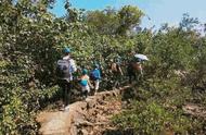 怕晒怕走路，我却带娃去香港海边徒步六公里山路，还和野牛住一夜