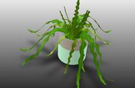简易植物盆栽模型3D图纸 Solidworks设计