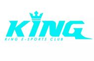 常规赛战队巡礼——KING、QG、RNG.M、RSG势不可挡