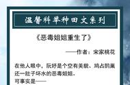 六本温馨种田科举文：从乡野到朝堂，白切黑男主位极人臣只为护她