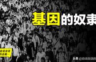 人类只是基因的奴隶？——颠覆三观的科普神作《自私的基因》