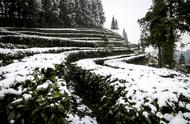 青云雪韵——宜宾高县蕉村镇青云村踏雪行