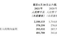 中手游发布半年报：自研收入同比增长156.8%，目前共有118个IP