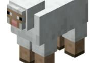 Minecraft知识课堂第4期——生物介绍（5）——羊