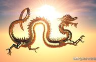 龙江树东谈“龙”的前世今生，“龙”进化的七个阶段