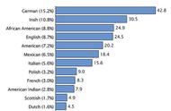 美国人数最多的这个族裔，你了解吗？