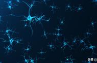 科学家进行实时监控大脑回放记忆过程有了重要发现