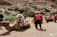 骑着骆驼穿越峡谷，平山湖大峡谷深度游项目开启啦！