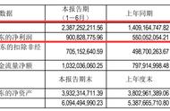 吉比特上半年营收23.87亿元，销售费用翻4倍，新游储备超14款