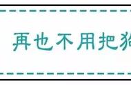 嗯？？？停狗位？？？没毛病！最新攻略轻戳~