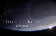 《冰冻星球》极地生物的生存之道就是：物竞天择，适者生存