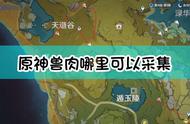 《原神》兽肉采集路线图分享