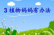 二年级语文《植物妈妈有办法》精美教案来啦，老师和家长的福利