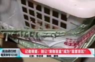 北京也出现了“宠物盲盒”！坑买家之余，还害了小动物