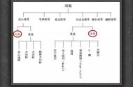 户外滑雪知识科普：双板滑雪的分类有哪些？