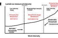 初跑者指南----什么是有氧阈值？
