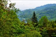 花溪山谷，假日野餐