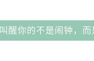 电商野蛮时代已过,草莽商家如何华丽转身合法经营