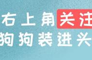 毯子附带猫咪口袋，好鸡肋！冬天猫咪有主人这个暖宝宝就够了