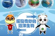 素质教育选择熊猫滚滚3D小课堂，让孩子益智启蒙有趣而简单