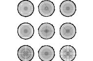 材料知识｜如何切割树干以产生不同外观和用途的木材（干货收藏）