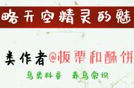 狂风暴雨时候，野外的鸟类是怎么过的？鸟儿：我是谁我在哪