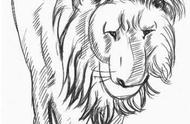 零基础动漫教程：分步骤讲解狮子动漫画法，简单易学，一起来临摹