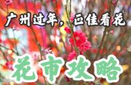 春节留守广州怎样玩？广州首个最大室内花市攻略