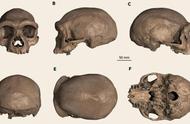 第1次听说，科学家发现新人种龙人，难道地球真存在龙这种生物？