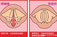 飙高音的捷径，“声带闭合”训练，大幅拓展音域