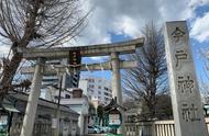 东京喵咪神社，还有祈愿能找回走失猫的功能，附上行程和交通方式