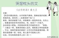 6本哭湿枕头的文，强推《去你的岛》我人生中第一次这么喜欢兔子