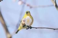 今日立春，风和日暖山水醒，春到人间草木生