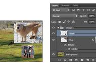 Photoshop——关于 Photoshop 图层