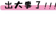 重庆首座超2500㎡室内动物园来了，70 萌宠免费看，大片免费拍！