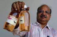 全民“喝牛尿”，每天都要喝？印度如何诞生全球奇葩的牛尿产业？