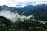 广东那么多名山大川，只有这一座山称得上森林王国