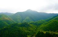 浙江这八座山，一山比一山清凉，燥热夏天躲入大自然中觅一份凉意