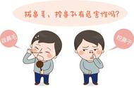 你是否经常拔鼻毛？你知道挖鼻孔、拔鼻毛有什么严重后果吗？