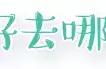 点亮成都最大免费星光灯海，这里有“100种”最浪漫跨年方式