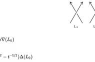 一周时间解决数学界「康威扭结」难题，这个数学博士小姐姐太强悍