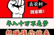 养殖小龙虾最全面、最真实、最客观分析，想学的速来看