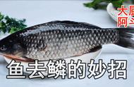 23年一级大厨分享鱼去鳞妙招，1个塑料袋，鱼鳞不飞溅不粘案板