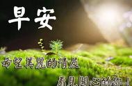 早上好！新的一天开始了，愿你走向新的豪迈！祝你每日幸福常在