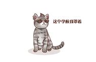 狸花猫这么优秀，为啥很少有人养？狸花猫：优秀也是错