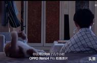 一台手机揭秘猫主子的夜间行程，网友：猫和手机我都想要