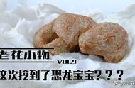 「老花小物」这一次挖到的是恐龙宝宝？