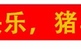 就算炉石“Alpha Healthstone”横空出世，人类也会立于不败之地